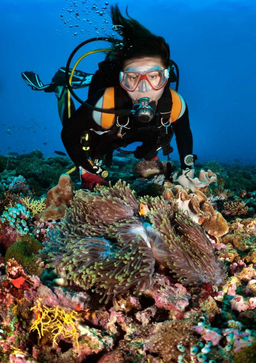 Scuba Diving